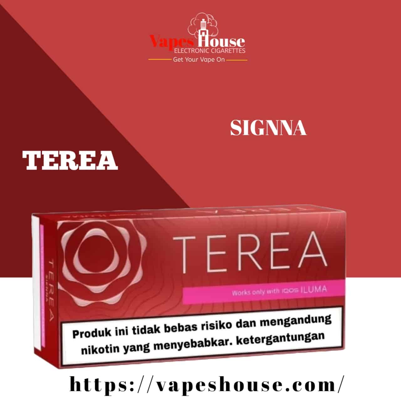sienna terea