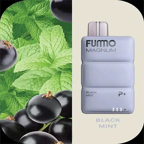 FUMMO Magnum 8000 Puffs Disposable Vape In UAE