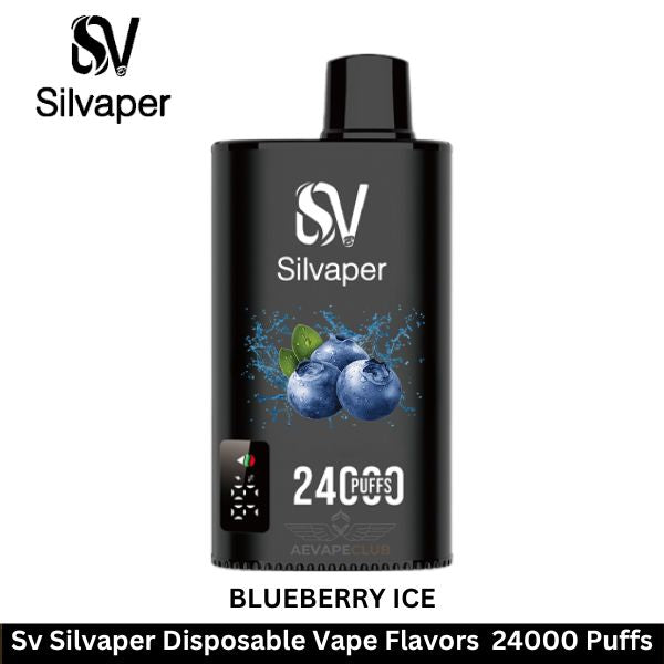 Silvaper 24000 Puffs Disposable Vape In Dubai UAE
