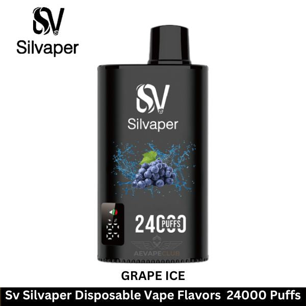 Silvaper 24000 Puffs Disposable Vape In Dubai UAE