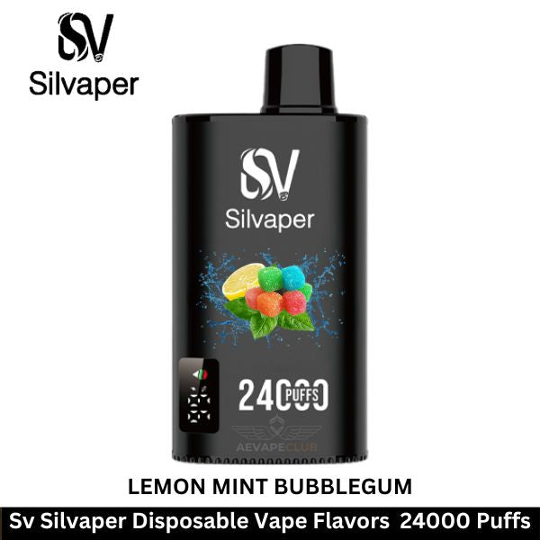 Silvaper 24000 Puffs Disposable Vape In Dubai UAE