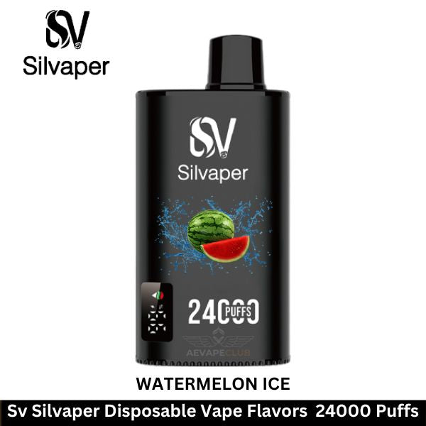 Silvaper 24000 Puffs Disposable Vape In Dubai UAE