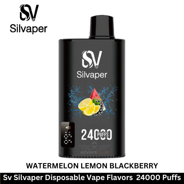 Silvaper 24000 Puffs Disposable Vape In Dubai UAE