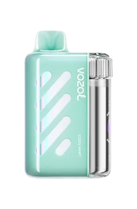 Vozol VISTA 40000 Puffs Disposable Vape in Dubai UAE