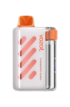 Vozol VISTA 40000 Puffs Disposable Vape in Dubai UAE