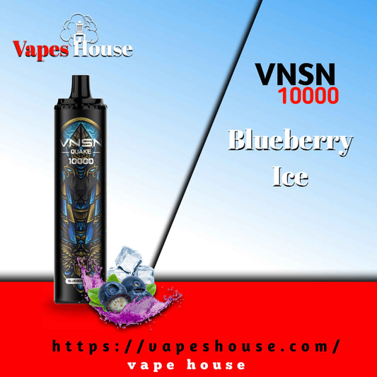 VNSN QUAKE 10000 PUFFS BLUEBERRY ICE DISPOSABLE VAPE