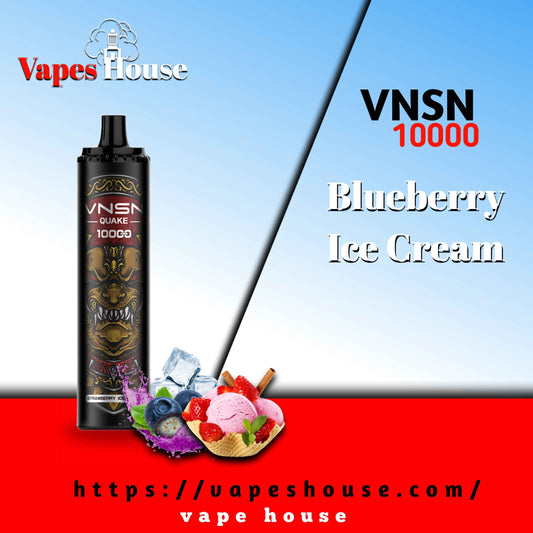 VNSN QUAKE 10000 PUFFS BLUEBERRY ICE CREAM DISPOSABLE VAPE