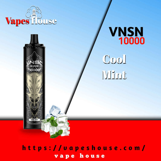 VNSN QUAKE 10000 PUFFS COOL MINT DISPOSABLE VAPE