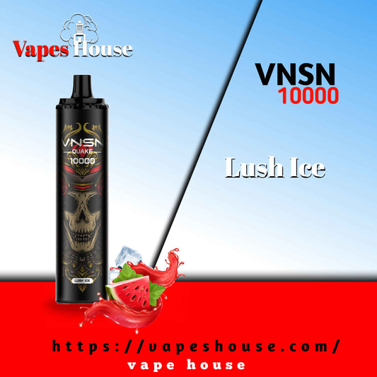 VNSN QUAKE 10000 PUFFS LUSH ICE DISPOSABLE VAPE