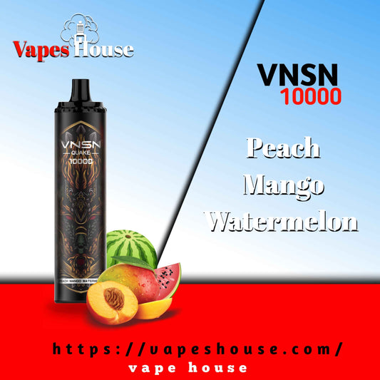 VNSN QUAKE 10000 PUFFS PEACH MANGO WATERMELON DISPOSABLE VAPE